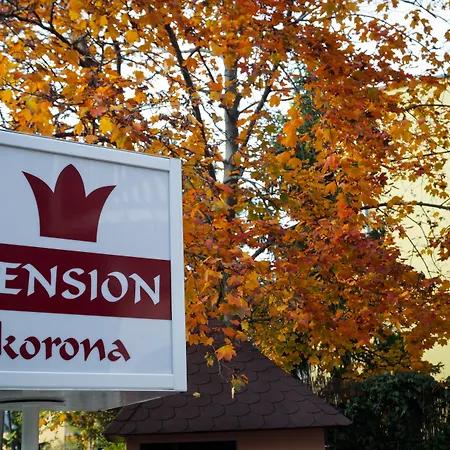 Korona Panzio Budapešť