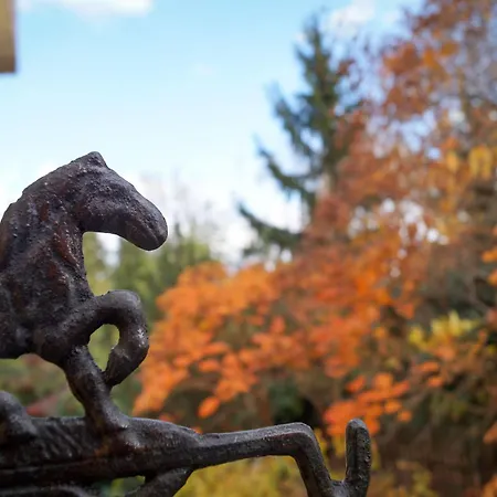 Korona Panzio Bed & Breakfast Budapešť